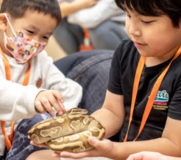 5-12歲獨立【蟲蟲巴斯特別合作】探險隊與爬蟲類們一起冒險！4