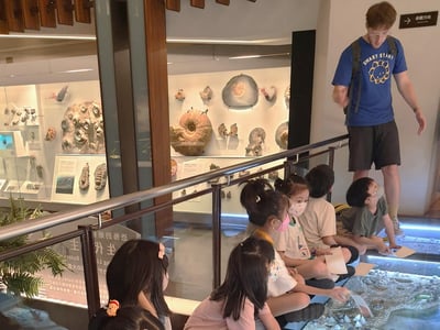 3-10歲【恐龍博物館】尋找消失的恐龍7