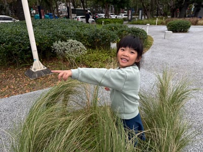 5-12歲 自然觀察探索任務：從觀察現象理解自然規律3