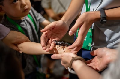 4-10歲 【蟲蟲巴斯特別合作】巴斯昆蟲探險隊5