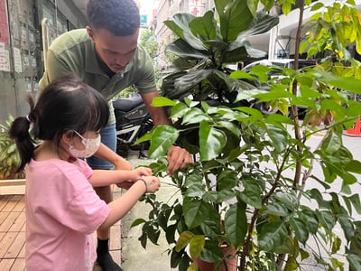 5-12歲 自然觀察探索任務：從觀察現象理解自然規律8