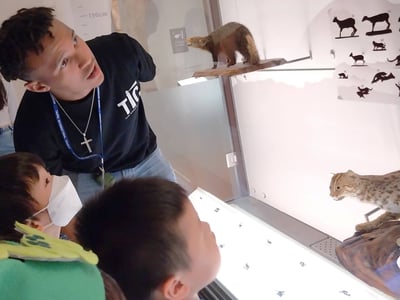 3-10歲【恐龍博物館】尋找消失的恐龍4