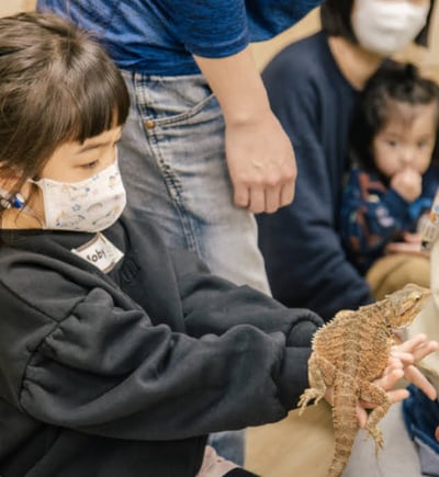 5-12歲獨立【蟲蟲巴斯特別合作】探險隊與爬蟲類們一起冒險！2