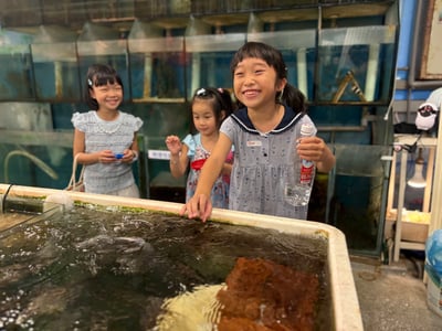5-10歲【天母大葉高島屋】水族飼育員體驗10