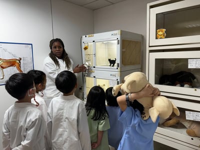 5-12歲【亞洲寵物博物館特別合作】動物醫療照護任務：小小獸醫3