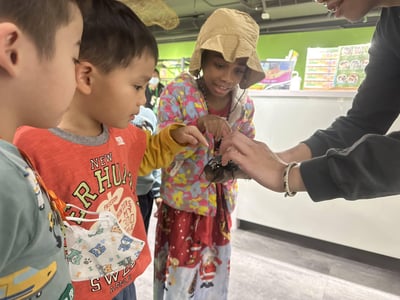 4-10歲 【蟲蟲巴斯特別合作】巴斯昆蟲探險隊16