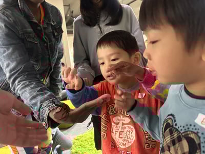 4-10歲 【蟲蟲巴斯特別合作】巴斯昆蟲探險隊13