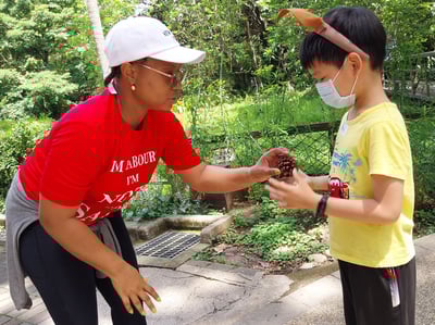 2-10歲【春天限定】尋找春天果實秘密12