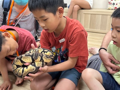 5-12歲獨立【蟲蟲巴斯特別合作】探險隊與爬蟲類們一起冒險！7