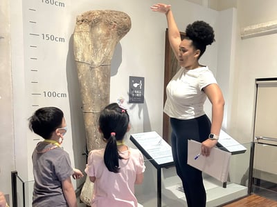 3-10歲【恐龍博物館】尋找消失的恐龍3