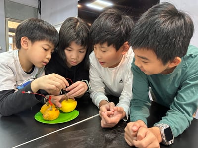 5-12歲 邏輯思考闖關任務：推理分析與問題解決訓練12