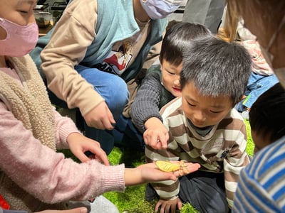 4-10歲 【蟲蟲巴斯特別合作】巴斯昆蟲探險隊8