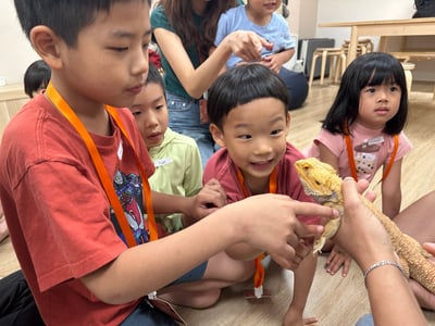 5-12歲獨立【蟲蟲巴斯特別合作】探險隊與爬蟲類們一起冒險！5