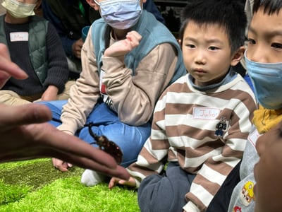 4-10歲 【蟲蟲巴斯特別合作】巴斯昆蟲探險隊14