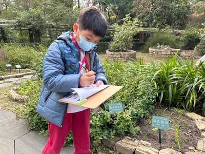 5-12歲 自然觀察探索任務：從觀察現象理解自然規律7