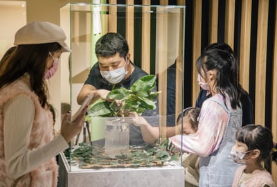 4-10歲 【蟲蟲巴斯特別合作】巴斯昆蟲探險隊7