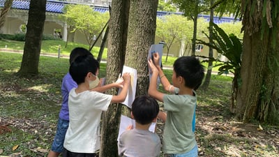 5-12歲 自然觀察探索任務：從觀察現象理解自然規律6