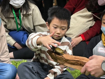 4-10歲 【蟲蟲巴斯特別合作】巴斯昆蟲探險隊6