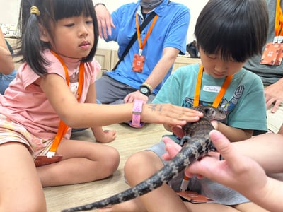 5-12歲獨立【蟲蟲巴斯特別合作】探險隊與爬蟲類們一起冒險！8