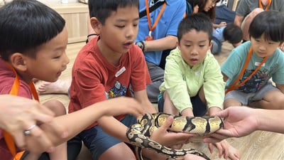 5-12歲獨立【蟲蟲巴斯特別合作】探險隊與爬蟲類們一起冒險！11
