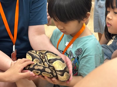5-12歲獨立【蟲蟲巴斯特別合作】探險隊與爬蟲類們一起冒險！10