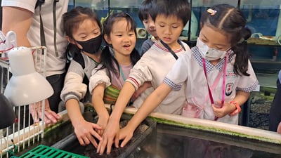 5-10歲【天母大葉高島屋】水族飼育員體驗6