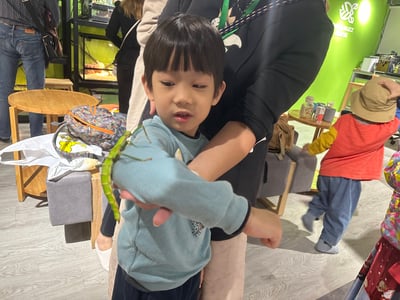 4-10歲 【蟲蟲巴斯特別合作】巴斯昆蟲探險隊18