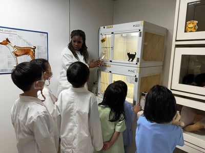 3-10歲【亞洲寵物博物館特別合作】白袍天使小獸醫10