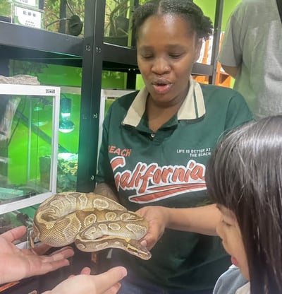 5-12歲獨立【蟲蟲巴斯特別合作】探險隊與爬蟲類們一起冒險！3