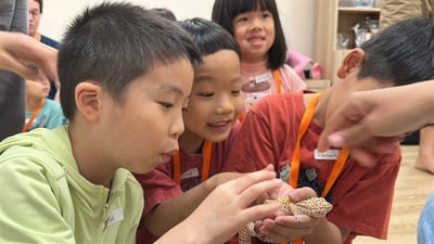 5-12歲獨立【蟲蟲巴斯特別合作】探險隊與爬蟲類們一起冒險！9