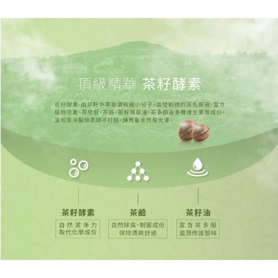 【茶寶】柚香茶籽輕盈洗髮露 350ml4