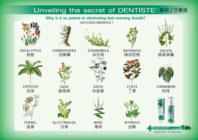 【DENTISTEʼ】牙醫選夜用牙膏120g2