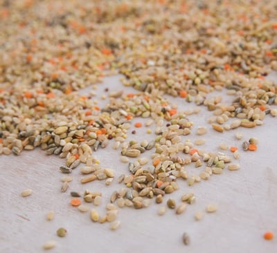 【米森 】有機藜麥八寶米(900g/包)2