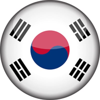 正版韓國製【韓式花嘴】 一組24款 24入 韓式裱花花嘴2