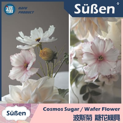 【波斯菊 不鏽鋼切模】3件組 (秋櫻)4