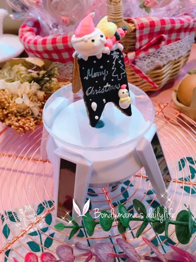 【馬林糖(蛋白糖) 新手入門工具】甘杯Stella兔兔老師慣用款1