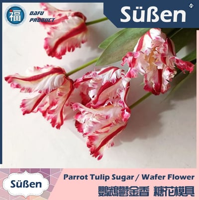 【鸚鵡鬱金香 花脈模矽膠模】糖花3