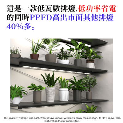 PlantMilestone P20排燈 (SPEC-C)3
