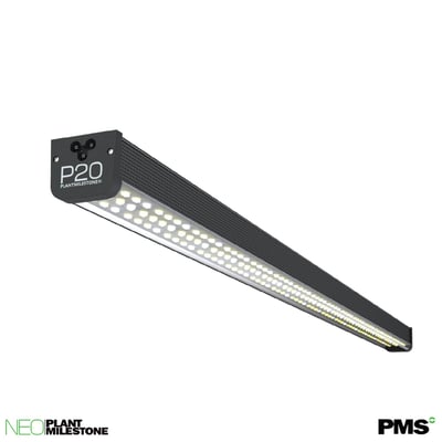 PlantMilestone P20排燈 (SPEC-C)1