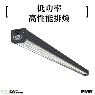 PlantMilestone P20排燈 (SPEC-C)2