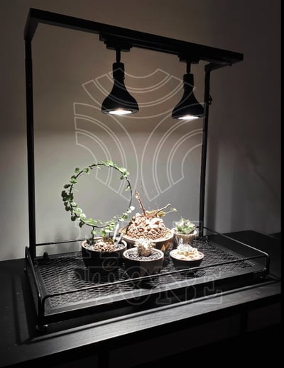 PlantMilestone 單層植物架   有水盤款/無水盤款1