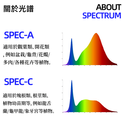 PlantMilestone P20排燈 (SPEC-C)6