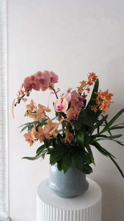 大型蘭花花禮-暖橘色系4