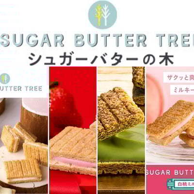 預購-砂糖奶油樹Sugar Butter Tree⭐️20