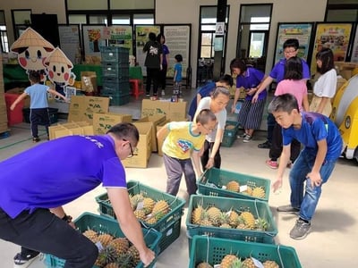 【善導書院幸福食間】台農無毒17號金鑽鳳梨一箱免運2