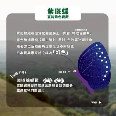 即期優惠葡萄汁7