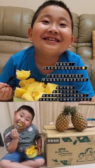 【善導書院幸福食間】台農無毒17號金鑽鳳梨一箱免運14