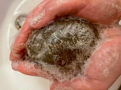 森呼吸非洲黑皂5入含運組8