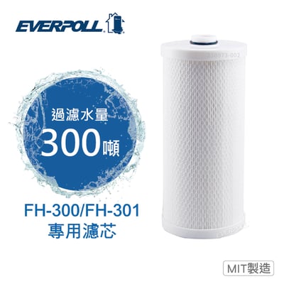 EVERPOLL愛科 FH-030 傳家寶全戶濾淨FH-301專用濾芯1