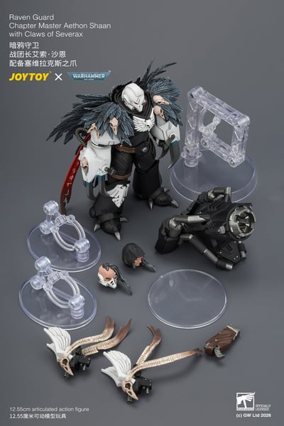 【預購】暗鴉守衛 戰團長艾索·沙恩 JT04742 X JOYTOY12